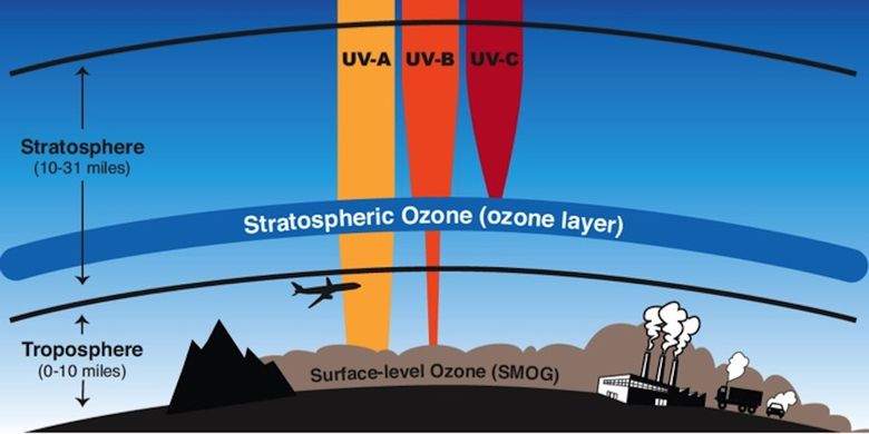 Lapisan ozon pada stratosfer melindungi bumi dari sinar ultraviolet