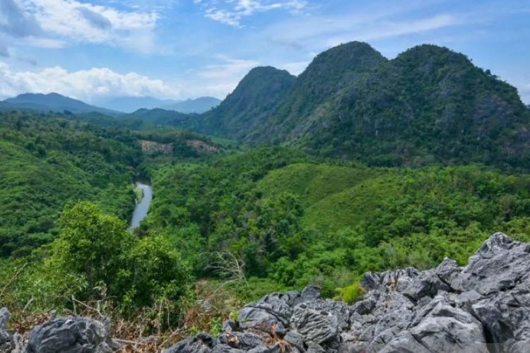 Mengenal Geopark Meratus yang Resmi Masuk dalam UNESCO Global Geoparks