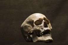 Tulang Belulang Manusia Ditemukan di Tanggamus, Ada Sweater 