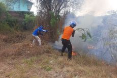 Kebakaran Hutan di Situbondo, 3 Lokasi dalam Sehari