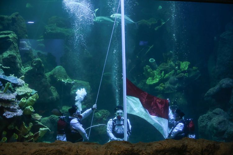 Upacara pengibaran bendera merah putih di aquarium utama Sea World Ancol, Jakarta, Senin (17/8/2020). Upacara bendera ini dalam rangka memeperingati HUT Kemerdekaan ke-75 Republik Indonesia.