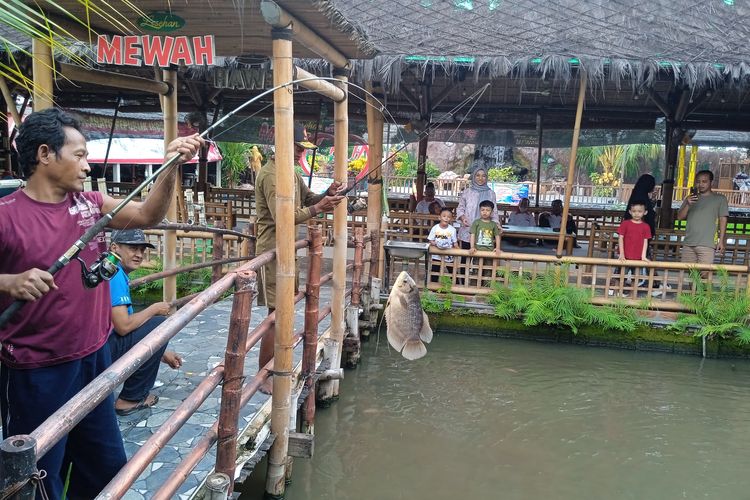 Salah satu pengunjung berhasil memancing ikan gurame di Lesehan Mewah Nganjuk untuk kemudian diolah, Senin (13/1/2025).