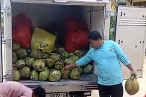 Menu MBG Kelapa Muda dan 1 Butir Telur Mentah Viral di Pamekasan, Ini Penjelasan SPPG