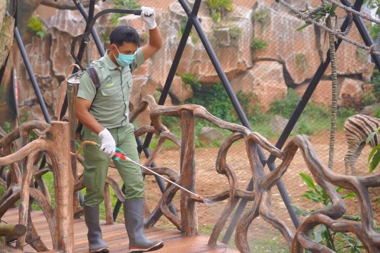 Seorang petugas sedang menyemprotkan cairan disinfektan di area rekreasi Royal Safari Garden, Bogor, Jawa Barat, untuk mencegah penularan virus corona, Selasa (17/3/2029).
