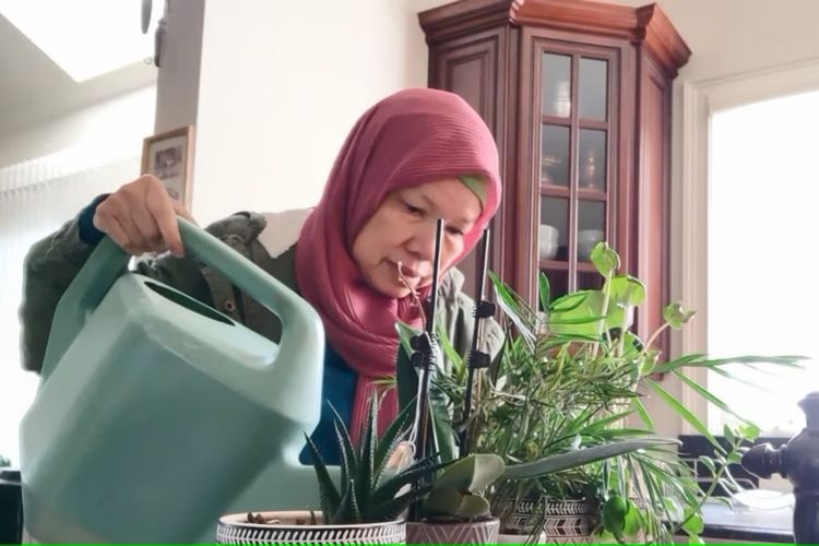 Desiyani Nurbaiti untuk akhir tahun kedua menjadi house-sitter. Kali ini diminta mengurus tanaman.