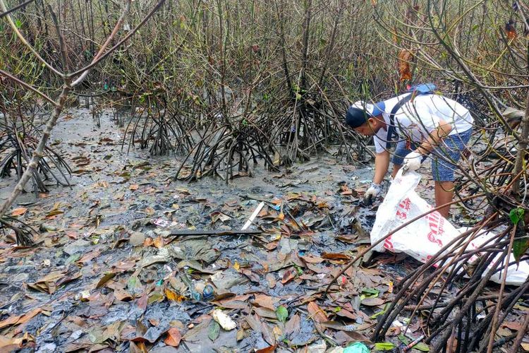 Seorang aktivis lingkungan dari Mangente Pulau sedang memungut sampah di kawasan Pantai desa Poka, kecamatan Teluk Ambon, Kota Ambon, Sabtu (30/7/2022). Puluhan mangrove di kawasan ini mati mendadak dalam beberapa pekan terakhir diduga karena tercemari limbah PLN