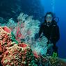 5 Obyek Wisata Favorit Turis Asing di Gorontalo, Bisa Lihat Hiu Paus