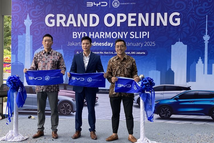 BYD Harmony Slipi