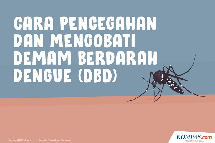 Cara Pencegahan dan Mengobati Demam Berdarah Dengue (DBD)