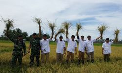 Tidak Ada Paceklik di Sulawesi Utara