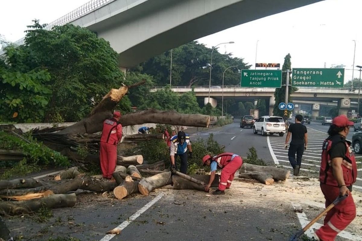 Petugas mengevakuasi batang pohon tumbang di Toll Jakarta Cikampek arah Jakarta, Senin (22/5/2023) pagi.