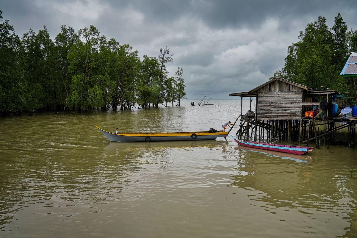 Mangrove dan masyarakat di Desa Muara Pantuan, Kalimantan Timur hidup saling berdampingan. 