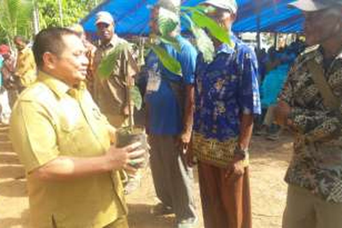 Kepala Badan Percepatan Pembangunan Kawasan Papua, Omah Laduani Ladamay, memberikan bibit tanaman kakao kepada salah satu kelompok tani di Sarmi pada Selasa (22/11/2016).