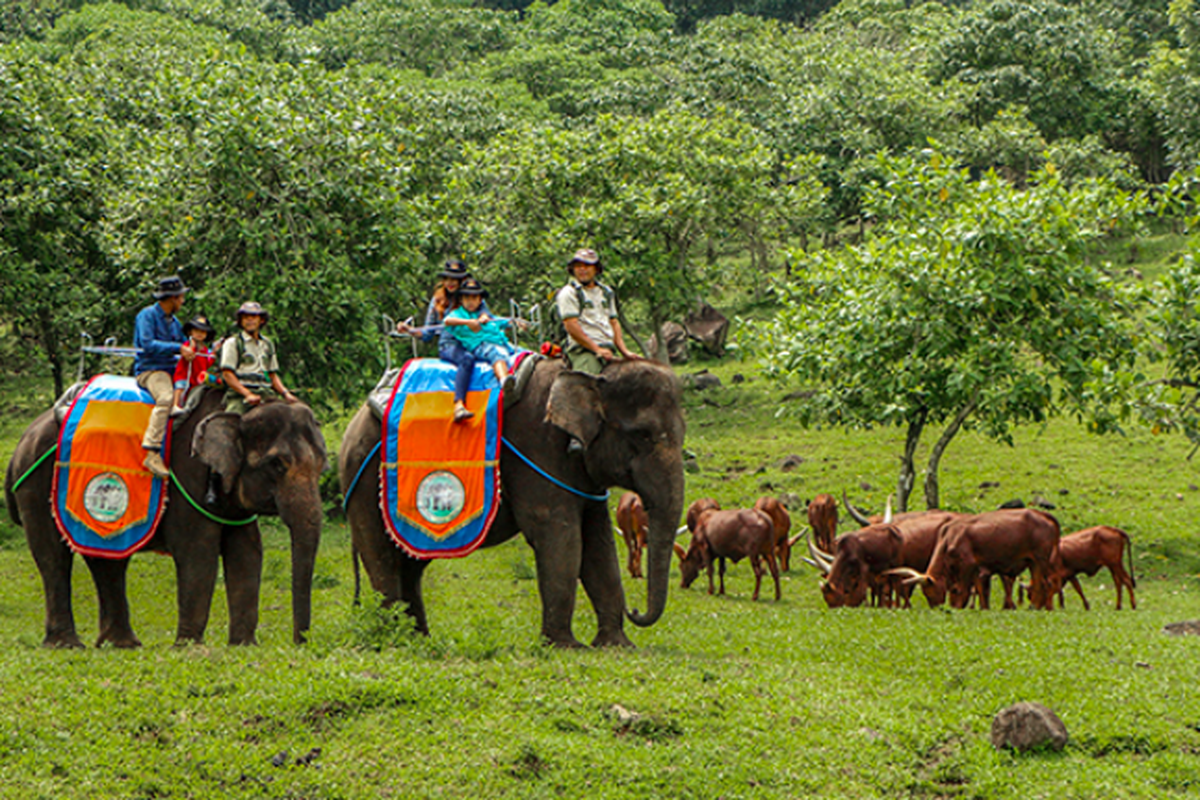 Taman Safari Indonesia 2 atau lebih dikenal dengan nama Taman Safari Prigen