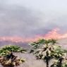 Kebakaran Lahan Hanguskan 45 Unit Lumbung Pangan Warga di Sikka