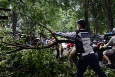 Pohon Tumbang Menimpa Truk di Pamulang, Sopir Dilarikan ke RSUD Tangsel