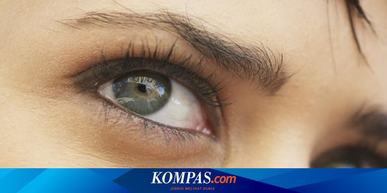Warna Bola Mata Tentukan Tingkat Risiko Penyakit Halaman All Kompas Com
