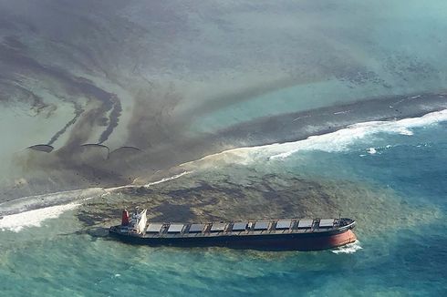 Berkaca dari Kasus di Mauritius, Bagaimana Cara Mengatasi Tumpahan Minyak di Laut?