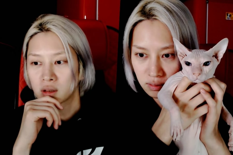 Member Super Junior, Heechul benarkan merawat kucing mendiang Sulli