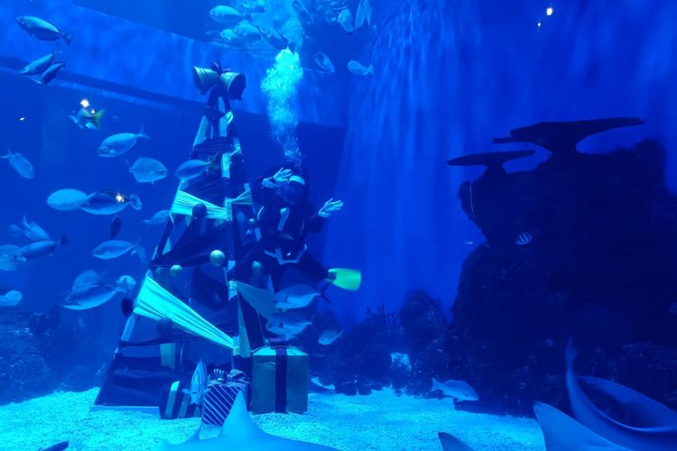 Santa Claus bersama pohon Natal bawah laut di Jakarta Aquarium & Safari, Jakarta Barat, Senin (20/12/2021).