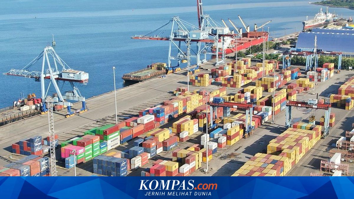 Arus Peti Kemas di Pelabuhan Panjang Naik 7,4 Persen, Ditopang Lonjakan Ekspor Lampung