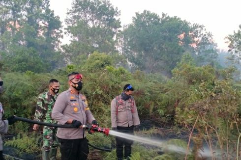 Polisi Buru Pelaku Pembakaran Hutan dan Lahan di Kepulauan Meranti