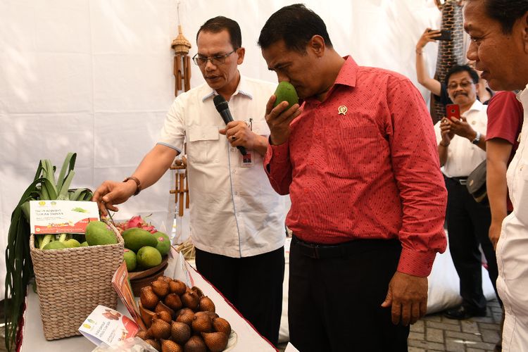 Menteri Pertanian Andi Amran Sulaiman memeriksa komoditas pertanian unggulan dari Provinsi Bali yang akan diekspor ke Rusia dan sejumlah negara lainnya dari Denpasar, Bali, Rabu (7/8/2019).
