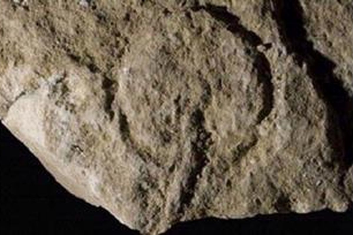 Ukiran batu yang merujuk pada figur alat kelamin perempuan. 