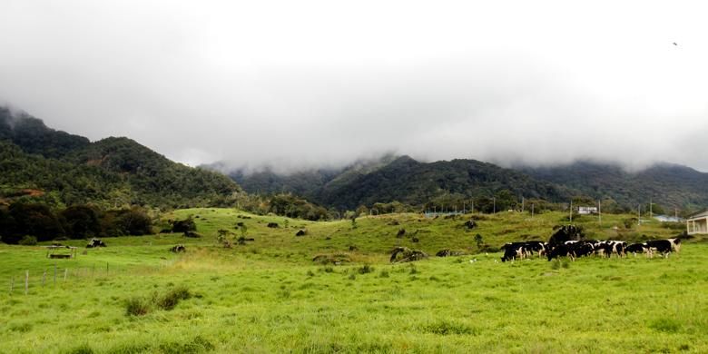 Salah satu tempat berfoto di Desa Cattle Farm dengan latar belakang Gunung Kinabalu, Kundasang, Ranau, Sabah, Malaysia, Senin (21/11/2016). Gunung Kinabalu sendiri berstatus sebagai gunung tertinggi di Pulau Kalimantan yakni berketinggian 4.095,2 meter di atas permukaan laut (mdpl).