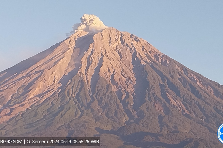 Gunung Semeru luncurkan kolom letusan setinggi 600 meter, Rabu (19/6/2024)