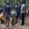 Cedera Lutut dan Kelelahan, Pendaki Remaja Dievakuasi dari Gunung Kahung Kalsel