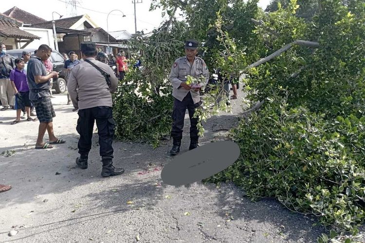 Sebuah pohon tiba tiba roboh menimpa pemotor di Kabupaten Magetan. Korban atas nama Agus Darmanto mengalami luka pada bagian kepala dan babras pada tangan dan kaki.