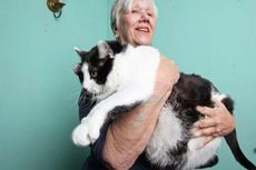 Kucing di AS Ini Bobotnya Seberat Bocah Berusia 4 Tahun
