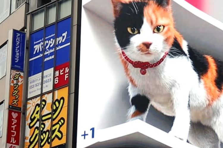 Kucing 3D di Reklame Tokyo.