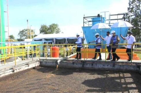 Limbah Sawit di Riau Diolah Jadi Biogas, Upaya Menekan Gas Rumah Kaca