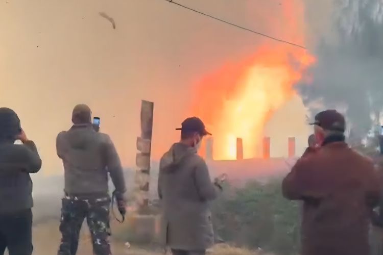 Karhutla Bromo Meluas ke Jemplang, Pengunjung Kafe Bromo Hill Side Panik