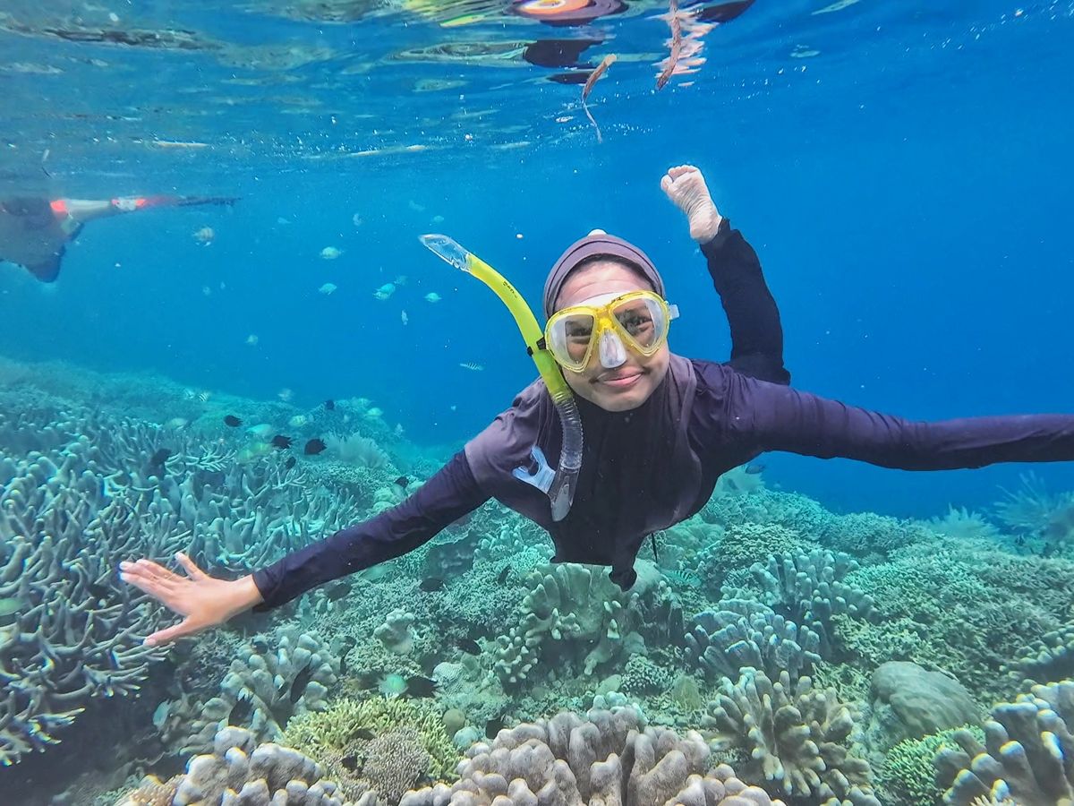 Terumbu karang dan ikan hias di perairan dangkal — ekosistem laut yang terjaga di kawasan konservasi