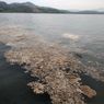 DLHK Uji Sampel Limbah Misterius yang Muncul di Teluk Bima
