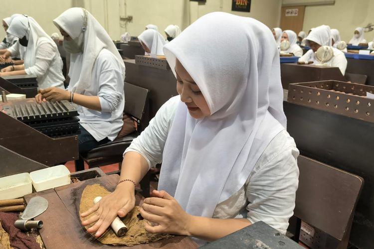 Buruh Perempuan Jadi Penopang Produksi Cerutu Jember yang Mendunia