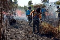 Sandiaga Minta Usut Tuntas Pembakaran di Hutan Way Kambas