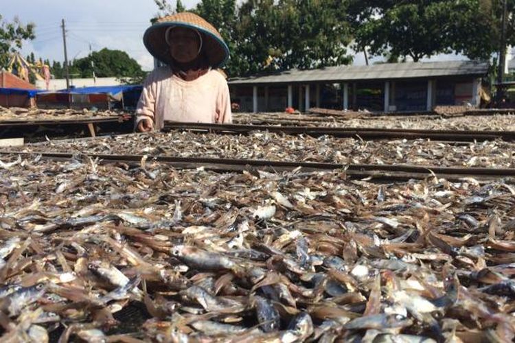Salah seorang buruh menata ikan asin di Desa Asemdoyong, Taman, Pemalang, Jawa Tengah. Kemarau basah di Indonesia membuat produksi ikan asin menurun hingga 50 persen.