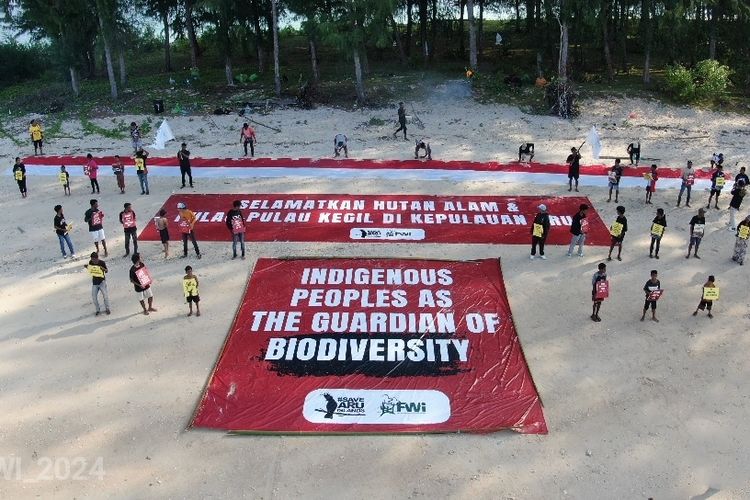 Sejumlah pemuda adat membentangkan spanduk raksasa untuk selamatkan hutan aru di pantai Pulau Kumareri, Kabupaten Kepulauan Aru, Maluku, Sabtu (26/10/2024).