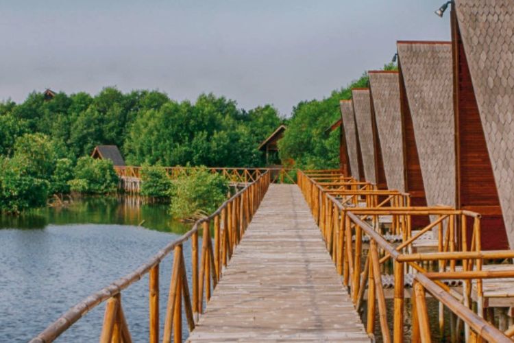 Taman Wisata Alam Mangrove Jakarta