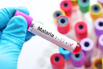 Kemenkes Prioritaskan Eliminasi Malaria di Papua yang Masih Tinggi Kasusnya