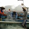 Harga BBM Naik, Nelayan Gunungkidul Terbantu Panen Teri