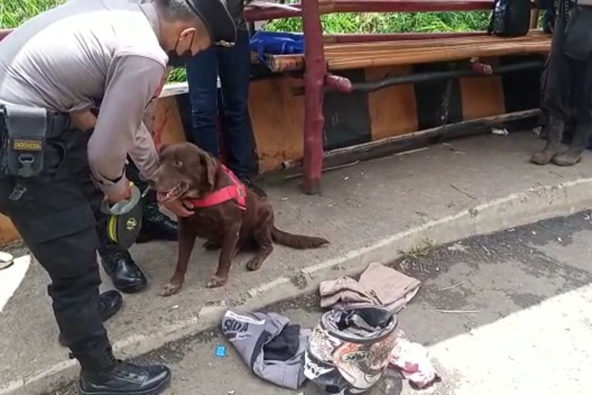 K-9 Polda Jabar mengendus helm dan pakaian korban di Cadas Pangeran, Sumedang, Jabar, Kamis (18/11/2021). AAM AMINULLAH/KOMPAS.com