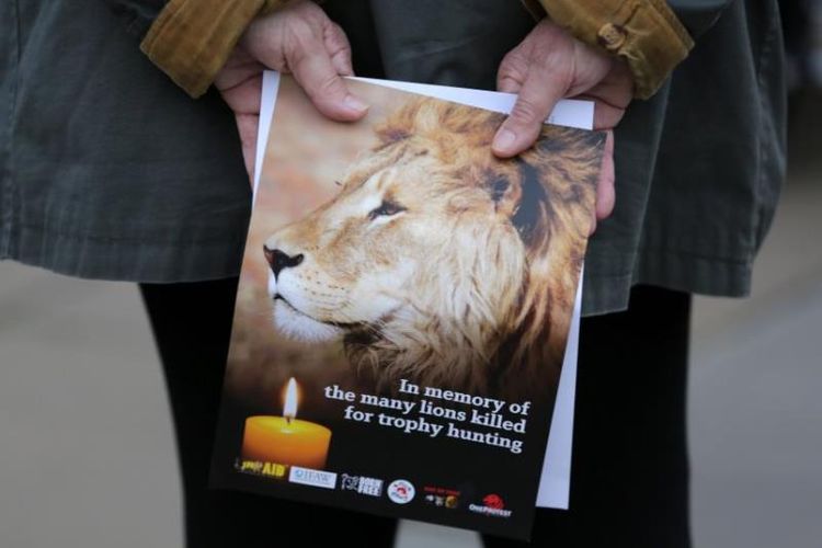 Sebuah majalah menunjukkan wajah Cecil, seekor Singa Afrika yang ditembak dan dibunuh oleh seorang pemburu asal Amerika Serikat. (Newsweek)