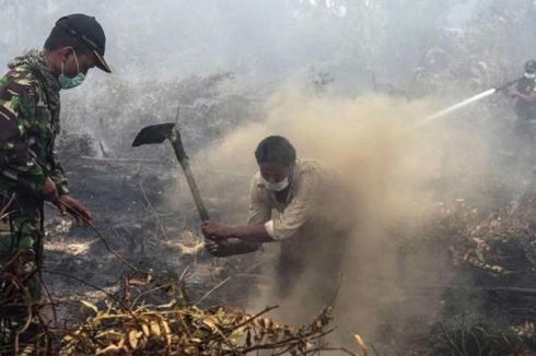 Masih Ada 1.005 Titik Api di Sumatera dan Kalimantan