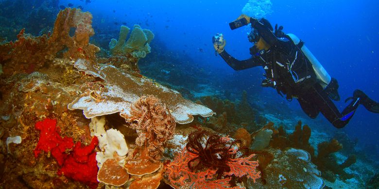 Kementerian Kelautan dan Perikanan (Kementerian KP) menggelar Kompetisi Fotografi Bawah Air atau Underwater Photography Competition bertajuk ?Explore Soasio Tongowai?.