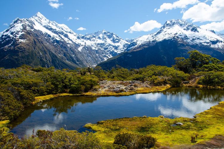 Ilustrasi Selandia Baru. Air Laut Selandia Baru Menghangat 34 Persen Lebih Cepat dari Rata-rata Global, Apa Dampaknya?